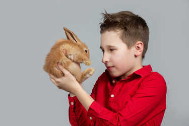 Similar image 22137769