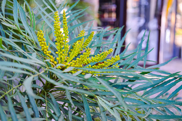 Similar image 22142318