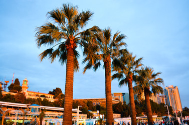 Similar image 22142319