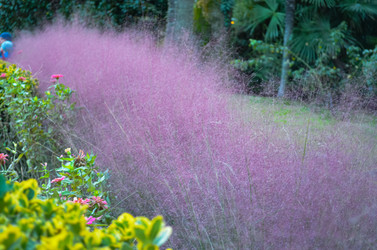 Similar image 22135573