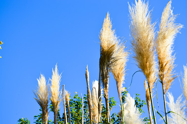 Similar image 22147812