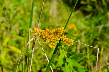 Similar image 22147813