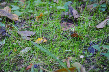 Similar image 22147814