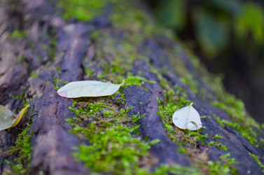 Similar image 22147815