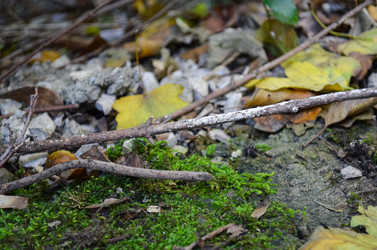 Similar image 22147816