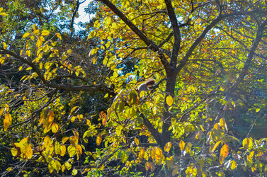 Similar image 22147817