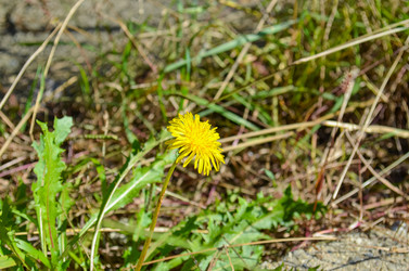 Similar image 22147818