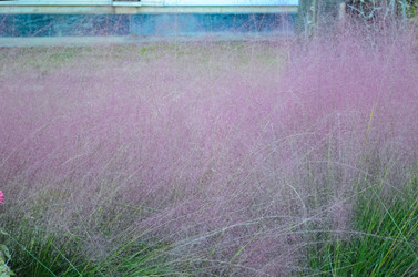 Similar image 22135576