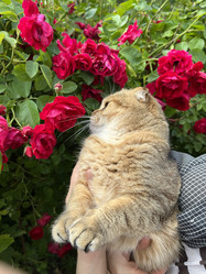 Similar image 22143991