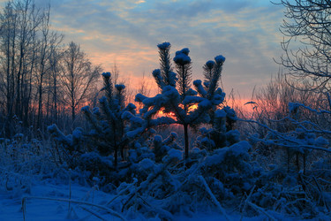 Similar image 22149982