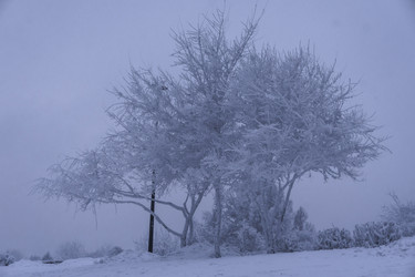 Similar image 22147839