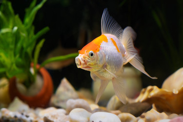 Similar image 22134582