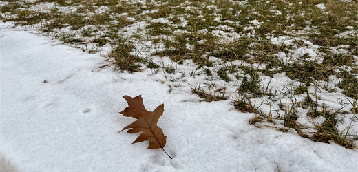 Similar image 22133671