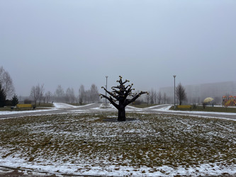 Similar image 22133682