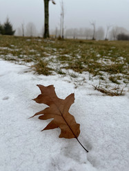 Similar image 22133747