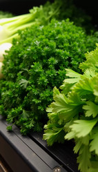 Similar image 22162878