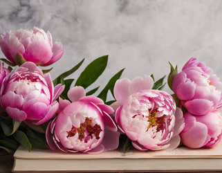 Similar image 22162694