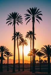 Similar image 22163729