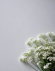 Similar image 22162698