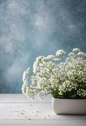 Similar image 22162883