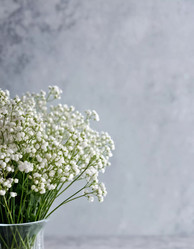 Similar image 22163241