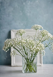 Similar image 22163733