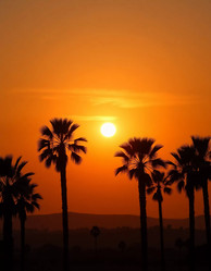 Similar image 22163246