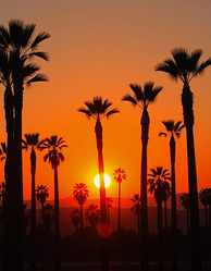 Similar image 22163740