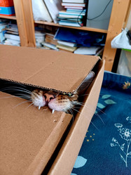 Similar image 22155225