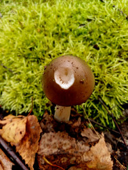 Similar image 22155229