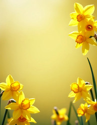 Similar image 22162398