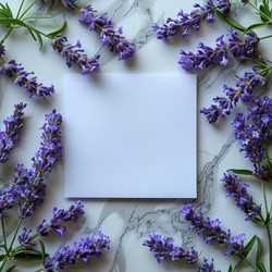 Similar image 22135585