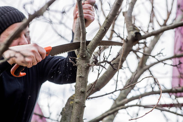 Similar image 22136063