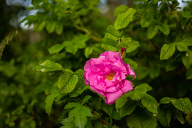 Similar image 22156206