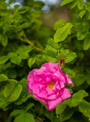 Similar image 22156207