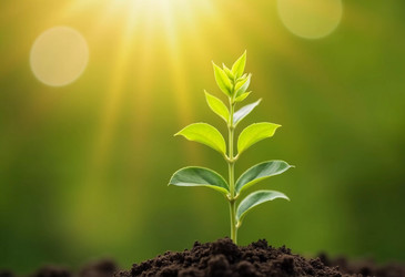 Similar image 22161612