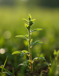 Similar image 22161616