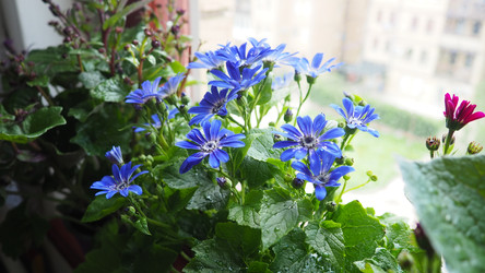 Similar image 22161620