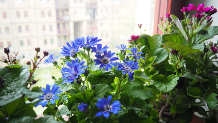 Similar image 22161866