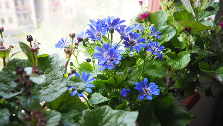 Similar image 22161994