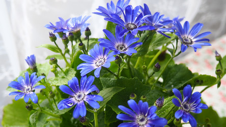 Similar image 22162405