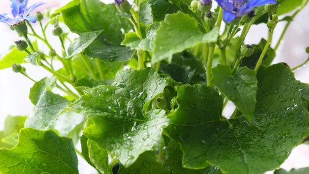 Similar image 22162770