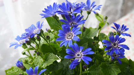 Similar image 22162771