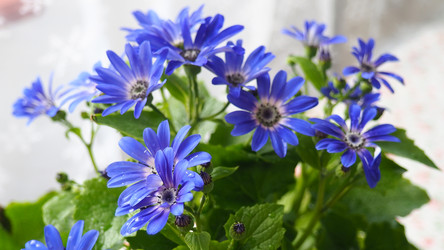 Similar image 22162772