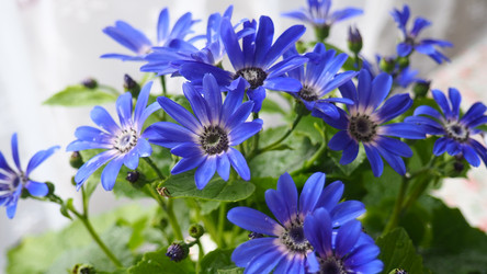 Similar image 22162773