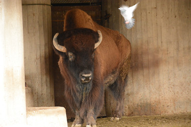 Similar image 22135003