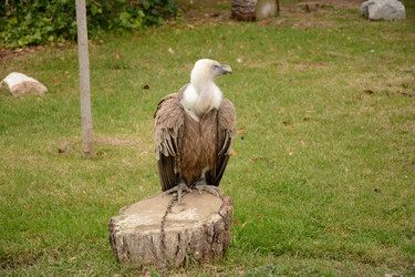 Similar image 22135005