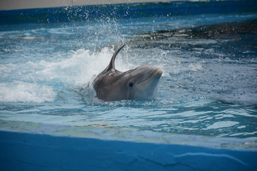 Similar image 22135006