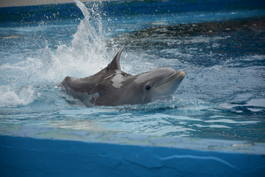 Similar image 22135007