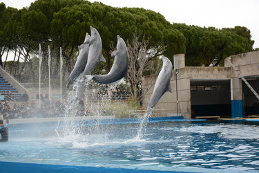 Similar image 22135008